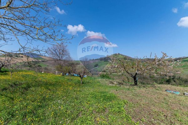 casa indipendente in vendita a Castelplanio in zona Pozzetto