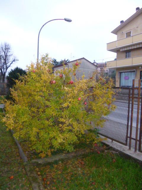 appartamento in vendita a Castelplanio in zona Macine