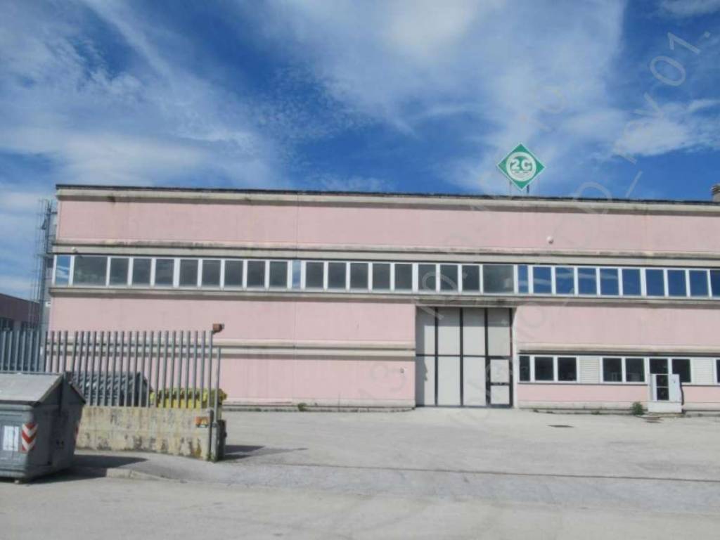 capannone in vendita a Castelplanio