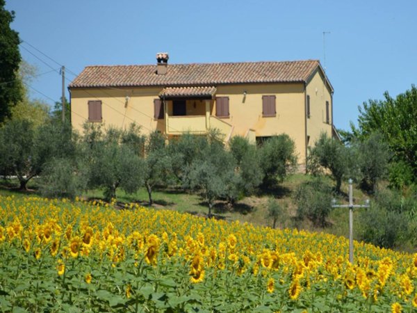 casa indipendente in vendita a Castelplanio