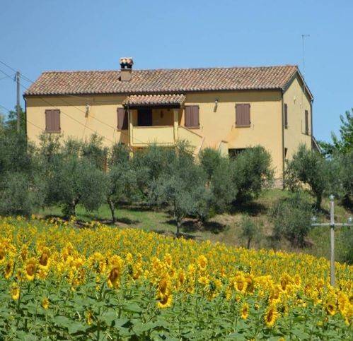 casa indipendente in vendita a Castelplanio