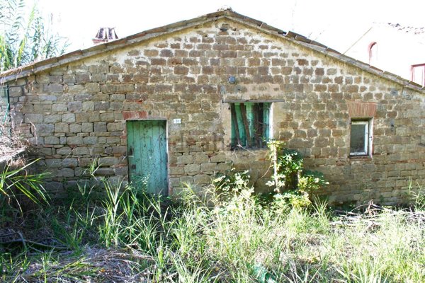 pentavano in vendita a Castelplanio