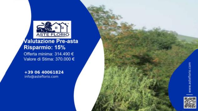 terreno agricolo in vendita a Castelplanio in zona Borgo Loreto