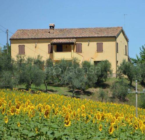 casa indipendente in vendita a Castelplanio