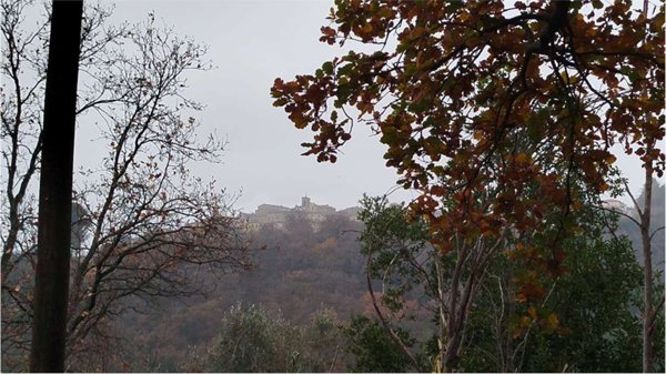 casa indipendente in vendita a Castelplanio
