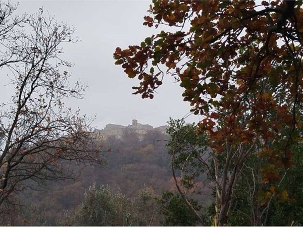 casa indipendente in vendita a Castelplanio