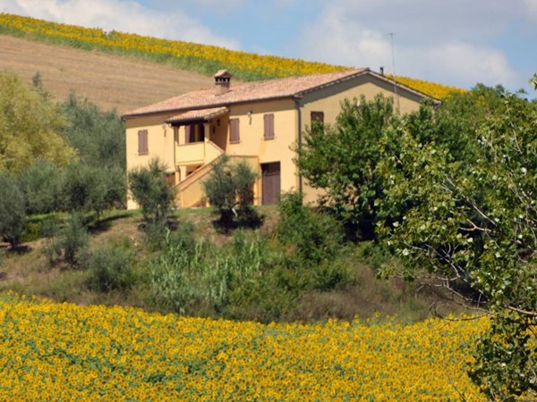casa indipendente in vendita a Castelplanio