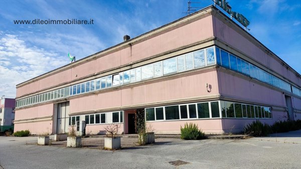capannone in vendita a Castelplanio