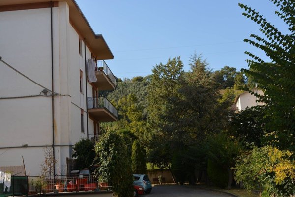 appartamento in vendita a Castelplanio