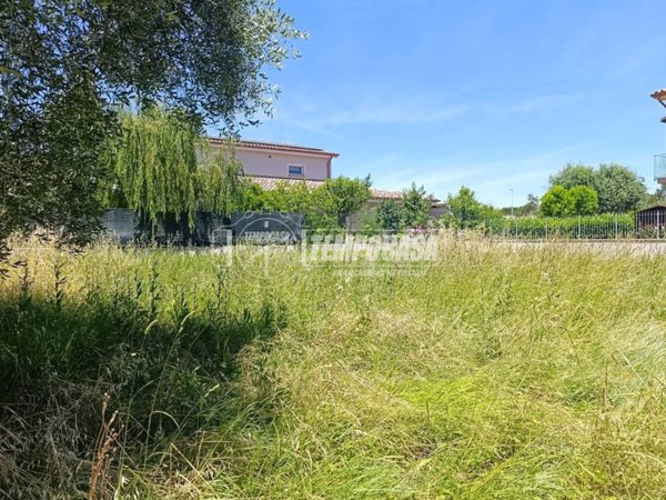 terreno agricolo in vendita a Castelplanio in zona Pozzetto