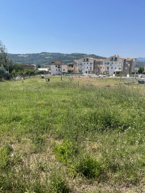 terreno agricolo in vendita a Castelplanio