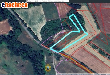 terreno agricolo in vendita a Cerreto d'Esi