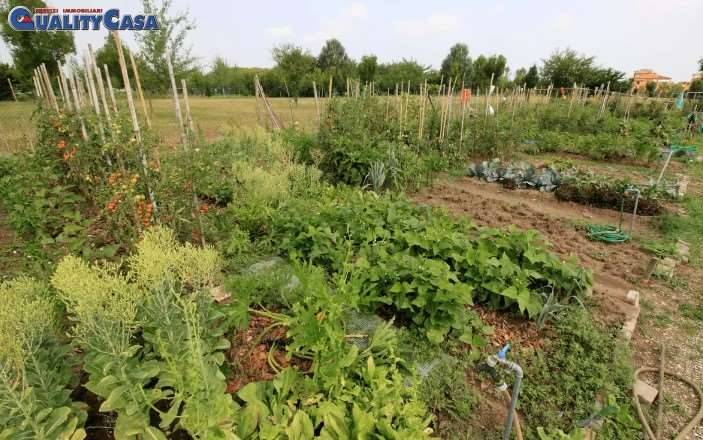 terreno agricolo in vendita a Chiaravalle