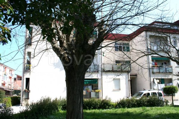 appartamento in vendita a Chiaravalle
