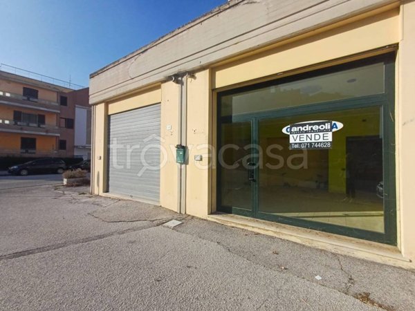 quadrivano in vendita a Chiaravalle