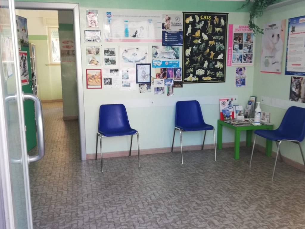 negozio in vendita a Chiaravalle