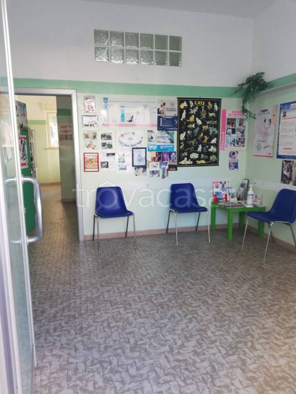 negozio in vendita a Chiaravalle