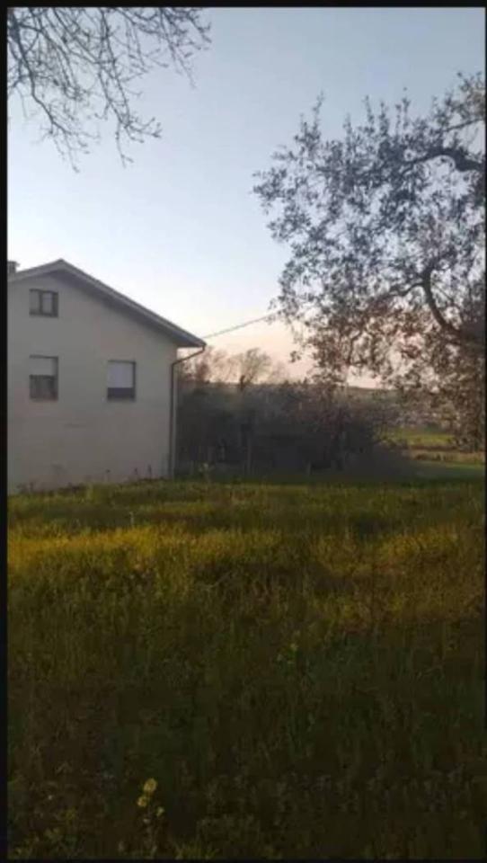 casa indipendente in vendita a Corinaldo