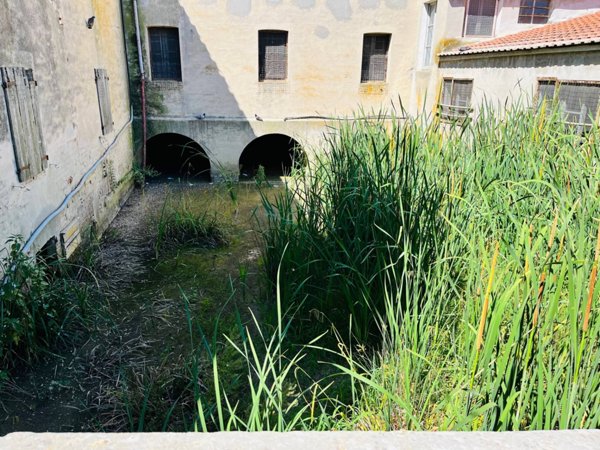 appartamento in vendita a Corinaldo in zona Madonna del Piano