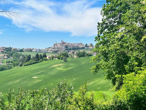 casale in vendita a Corinaldo