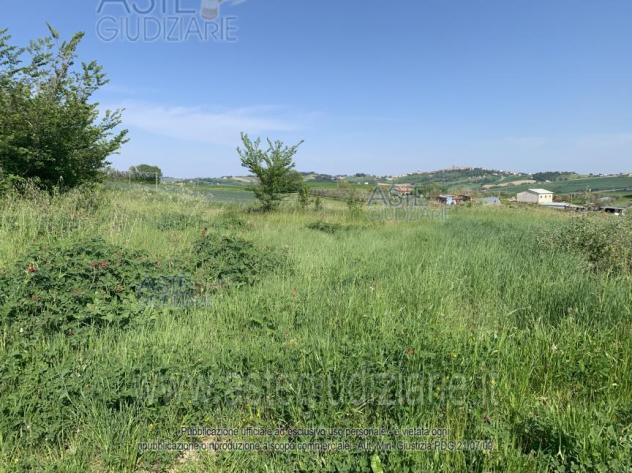 terreno agricolo in vendita a Corinaldo