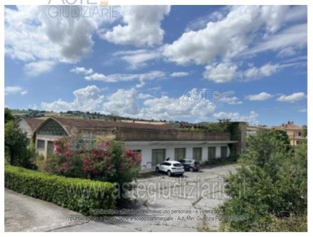 negozio in vendita a Corinaldo