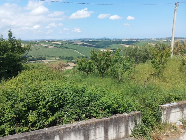 terreno agricolo in vendita a Corinaldo