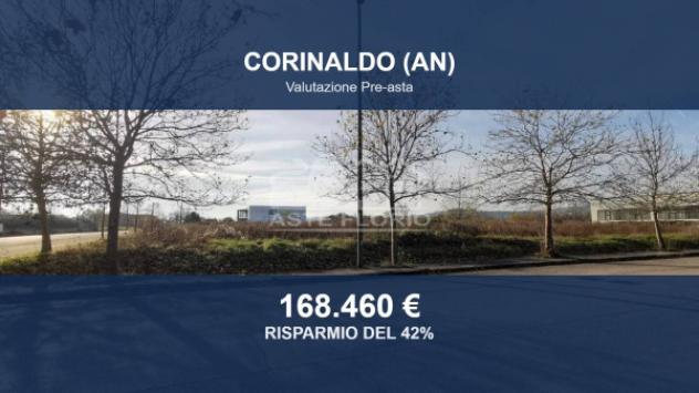 terreno agricolo in vendita a Corinaldo