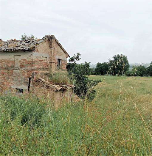 casa indipendente in vendita a Corinaldo