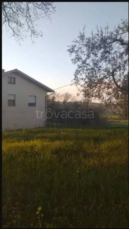 casa indipendente in vendita a Corinaldo
