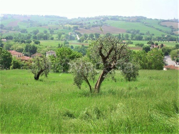 casa indipendente in vendita a Corinaldo