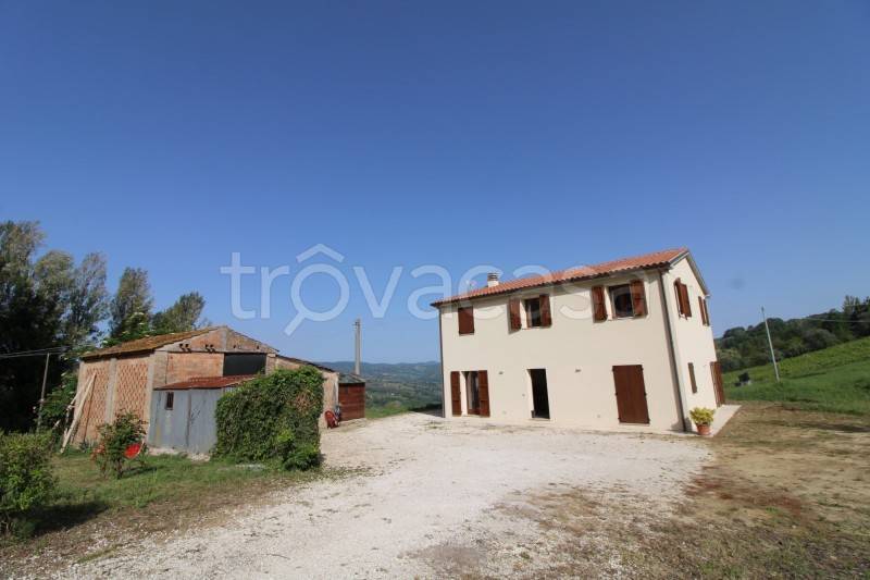 casa indipendente in vendita a Cupramontana