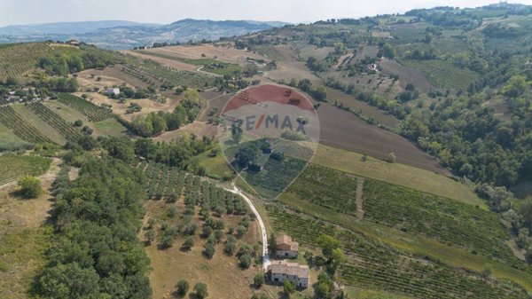 terreno agricolo in vendita a Cupramontana