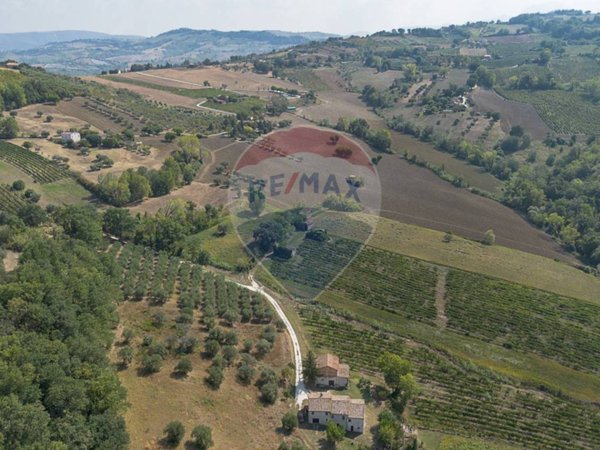 terreno agricolo in vendita a Cupramontana