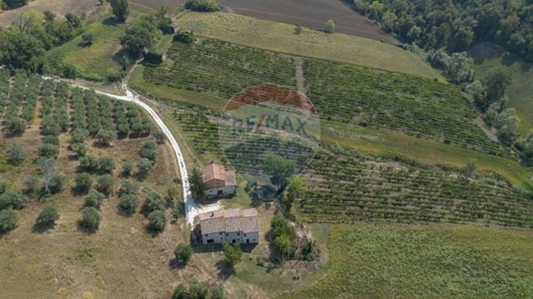 terreno agricolo in vendita a Cupramontana