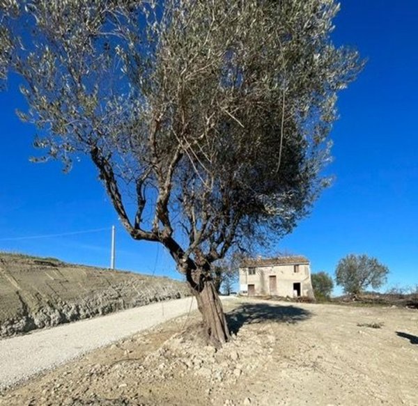 pentavano in vendita a Cupramontana