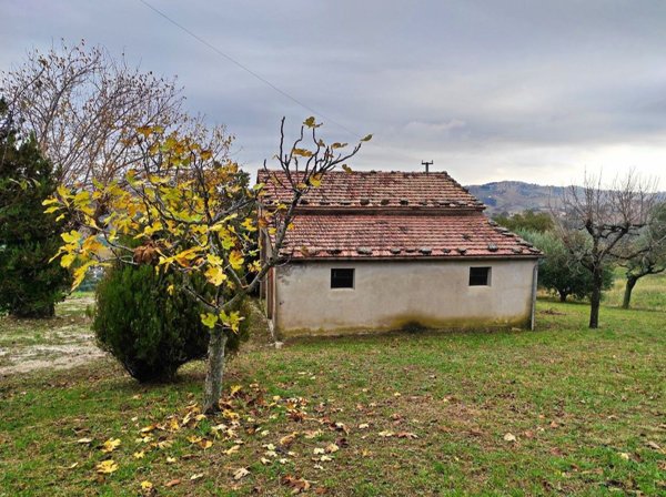 appartamento in vendita a Cupramontana
