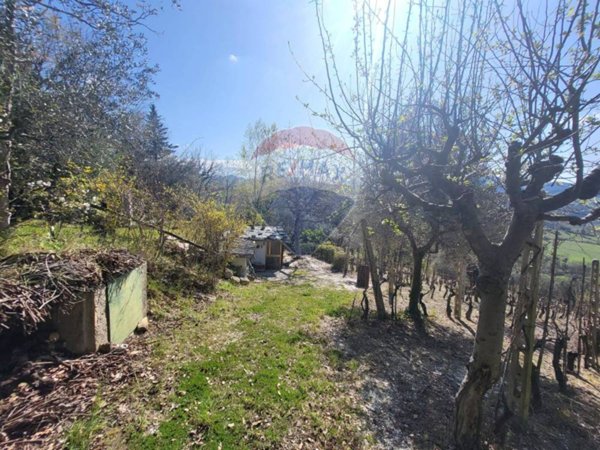 appartamento in vendita a Cupramontana
