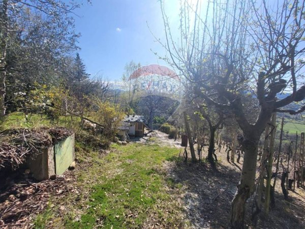 appartamento in vendita a Cupramontana