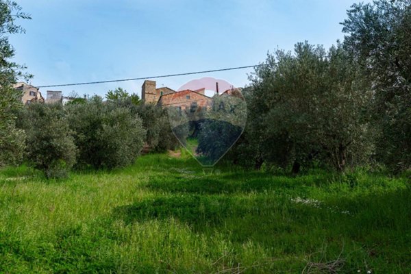 capannone in vendita a Cupramontana in zona Poggio Cupro