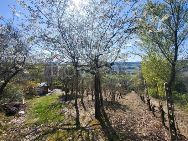 appartamento in vendita a Cupramontana