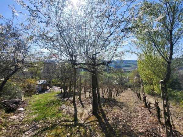 appartamento in vendita a Cupramontana