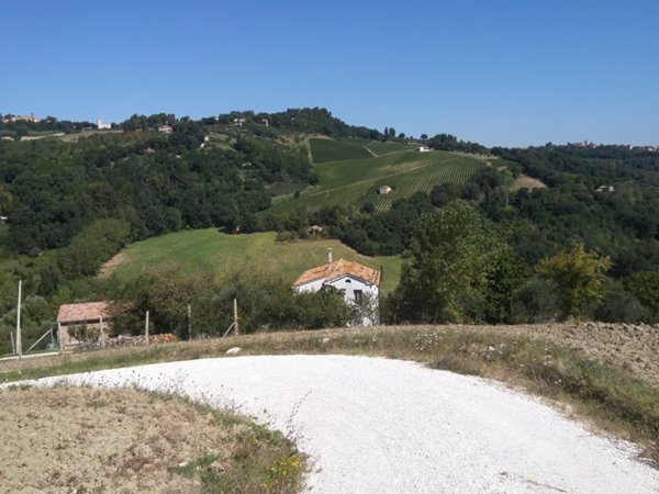 casa indipendente in vendita a Cupramontana