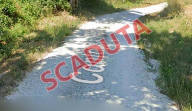 terreno agricolo in vendita a Cupramontana