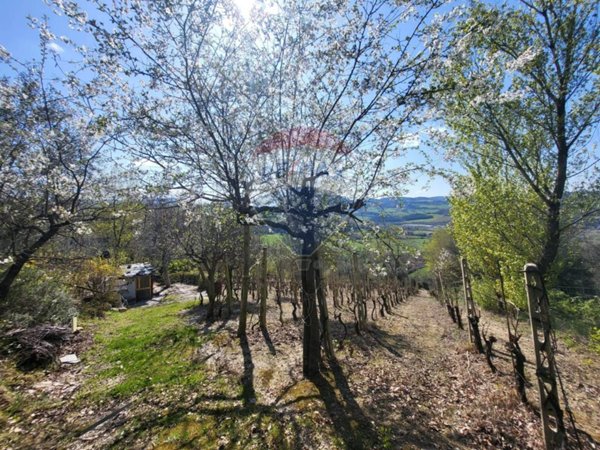 appartamento in vendita a Cupramontana