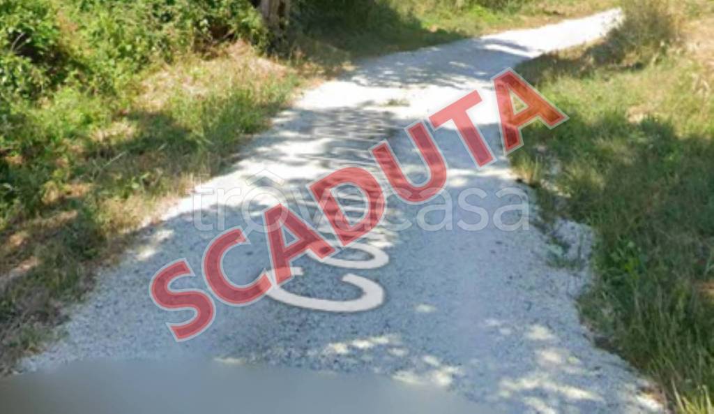 terreno agricolo in vendita a Cupramontana