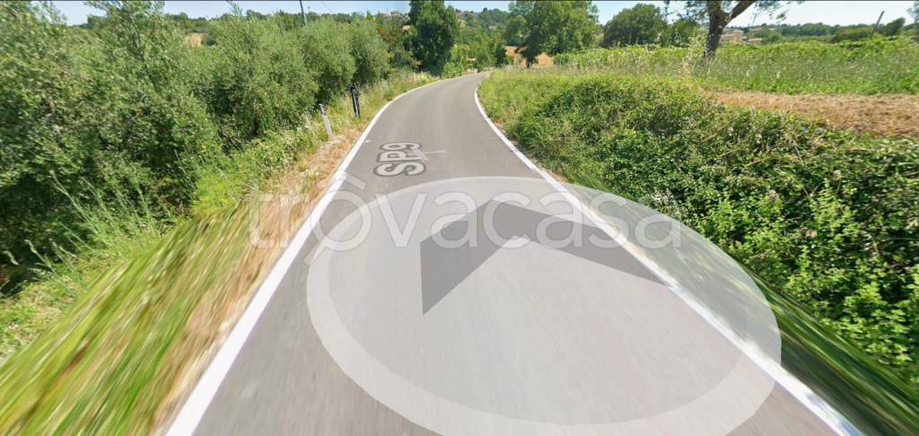 terreno agricolo in vendita a Cupramontana