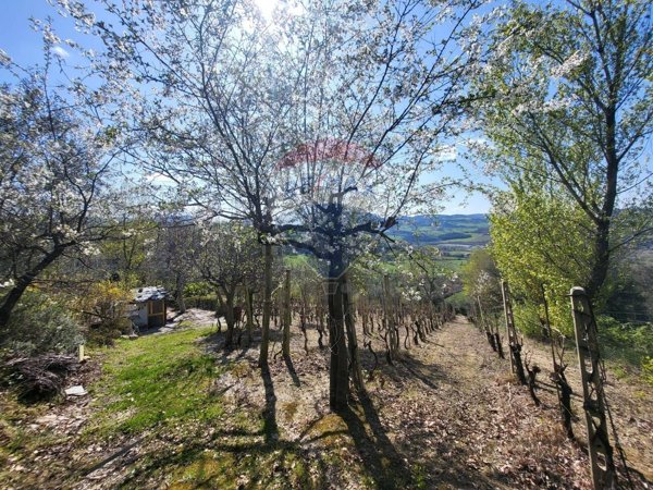 appartamento in vendita a Cupramontana