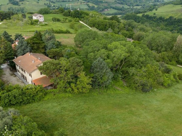 negozio in vendita a Cupramontana