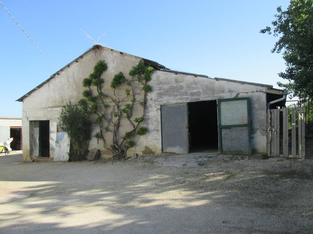 casa indipendente in vendita a Cupramontana in zona Poggio Cupro